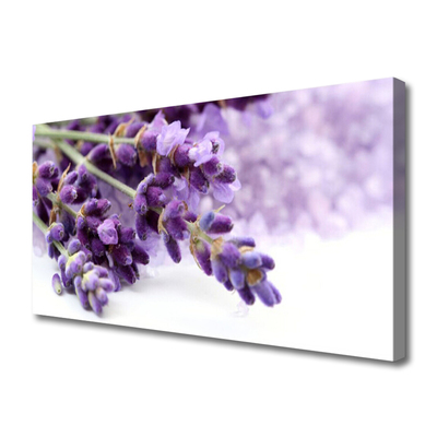 Quadro su tela Fiori Sul Muro