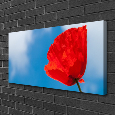 Quadro su tela Tulipano Sul Muro