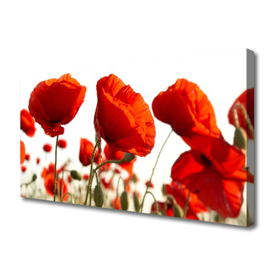 Quadro su tela Fiori di tulipani