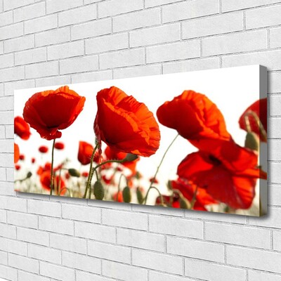 Quadro su tela Fiori di tulipani