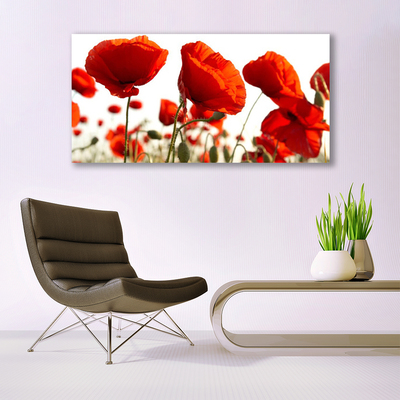 Quadro su tela Fiori di tulipani