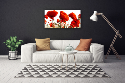 Quadro su tela Fiori di tulipani