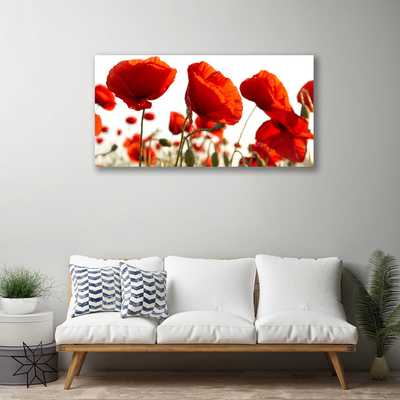 Quadro su tela Fiori di tulipani