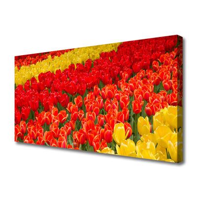 Quadro su tela Fiori di tulipani