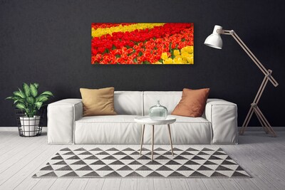 Quadro su tela Fiori di tulipani