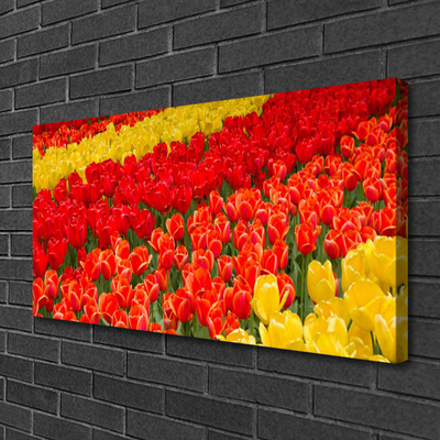 Quadro su tela Fiori di tulipani