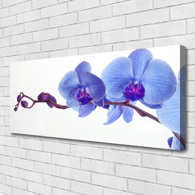 Quadro su tela I fiori della pianta