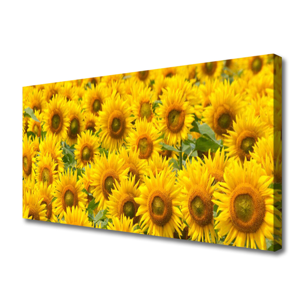 Quadro su tela Natura della pianta del girasole