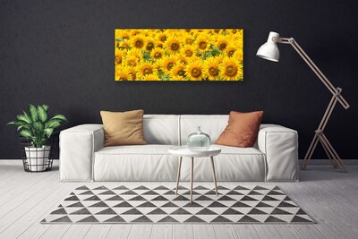 Quadro su tela Natura della pianta del girasole