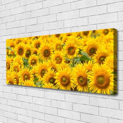 Quadro su tela Natura della pianta del girasole