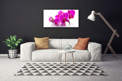 Quadro su tela Fiori di viola