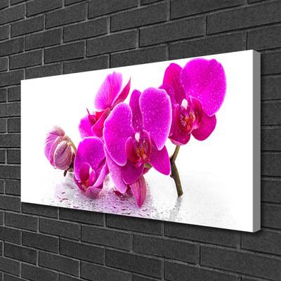 Quadro su tela Fiori di viola