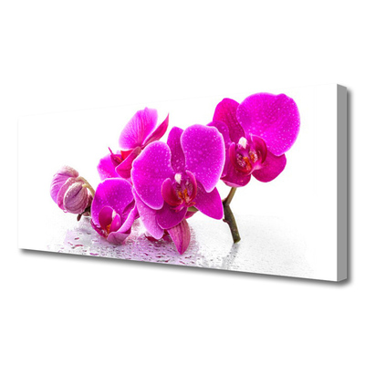 Quadro su tela Fiori di viola