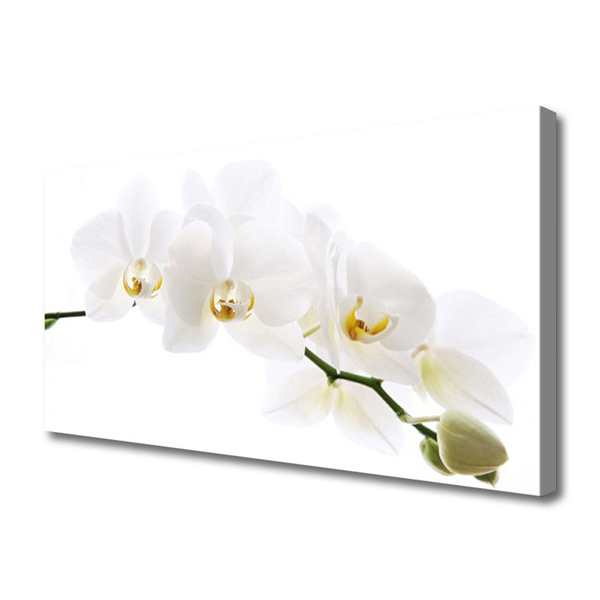 Quadro su tela Fiori di orchidea