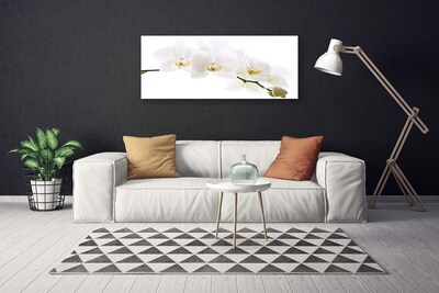 Quadro su tela Fiori di orchidea