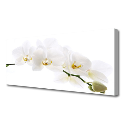 Quadro su tela Fiori di orchidea