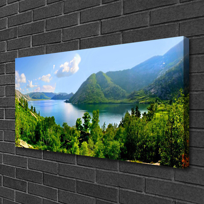 Quadro su tela Paesaggio di montagna del lago forestale