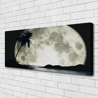 Quadro su tela Paesaggio delle palme della luna notturna