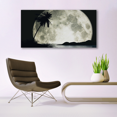 Quadro su tela Paesaggio delle palme della luna notturna