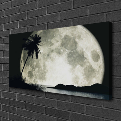 Quadro su tela Paesaggio delle palme della luna notturna