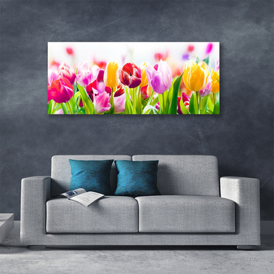 Foto quadro su tela Fiori di tulipani