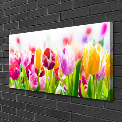 Foto quadro su tela Fiori di tulipani