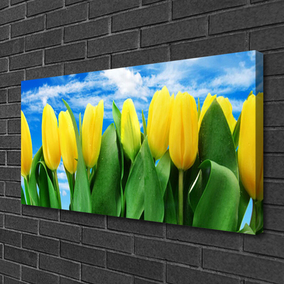 Quadro su tela Fiori di tulipani