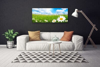 Quadro stampa su tela Daisy Erba Natura