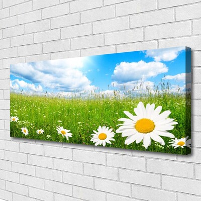 Quadro stampa su tela Daisy Erba Natura