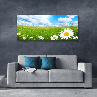 Quadro stampa su tela Daisy Erba Natura