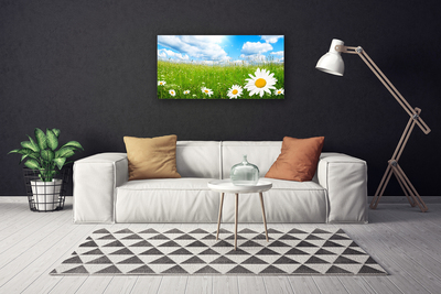 Quadro stampa su tela Daisy Erba Natura