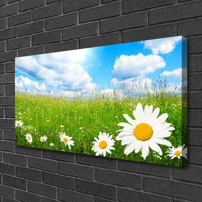 Quadro stampa su tela Daisy Erba Natura