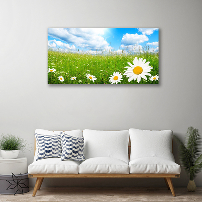 Quadro stampa su tela Daisy Erba Natura