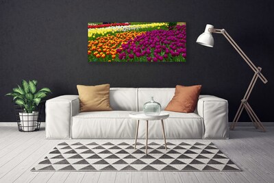 Quadro su tela Fiori di tulipani