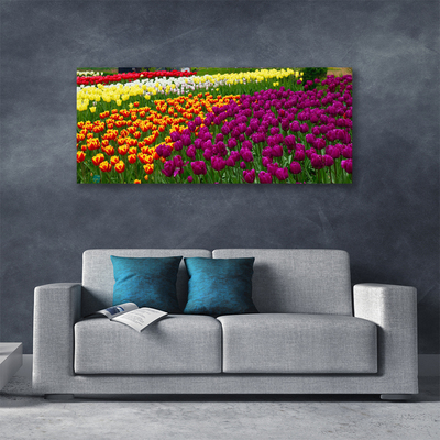 Quadro su tela Fiori di tulipani