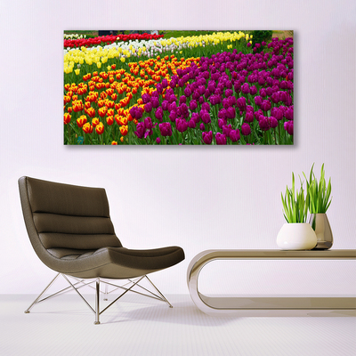 Quadro su tela Fiori di tulipani