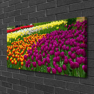 Quadro su tela Fiori di tulipani