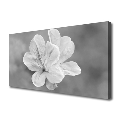 Quadro stampa su tela I fiori della pianta