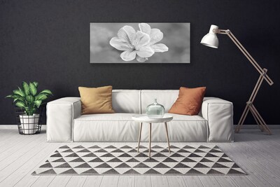 Quadro stampa su tela I fiori della pianta