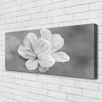 Quadro stampa su tela I fiori della pianta