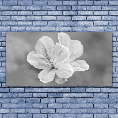 Quadro stampa su tela I fiori della pianta