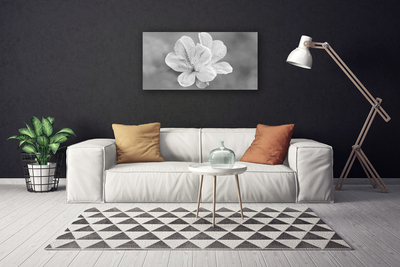 Quadro stampa su tela I fiori della pianta