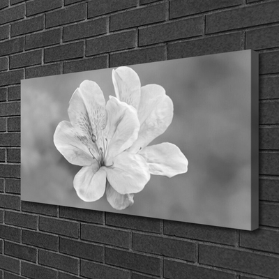 Quadro stampa su tela I fiori della pianta