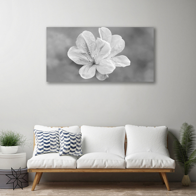 Quadro stampa su tela I fiori della pianta