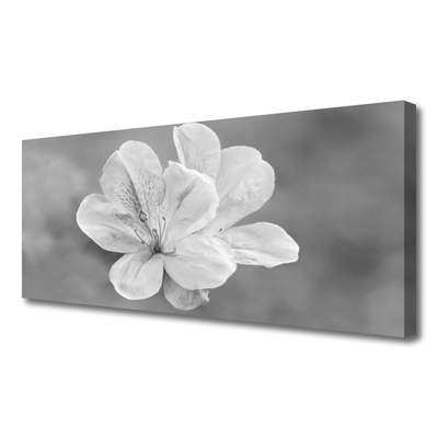 Quadro stampa su tela I fiori della pianta