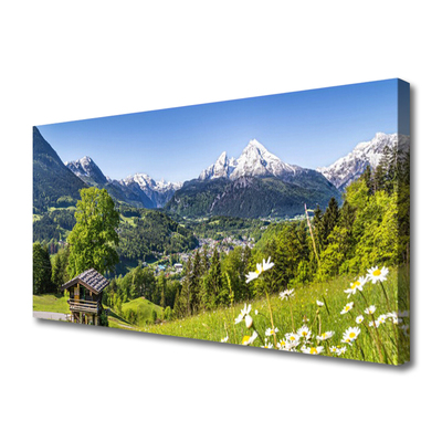 Quadro su tela Montagna del campo naturale