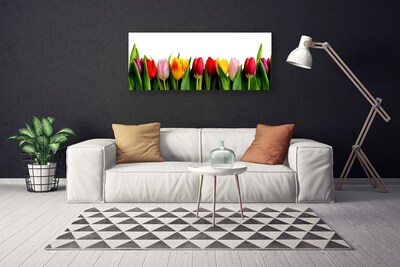 Quadro su tela Tulipani Pianta