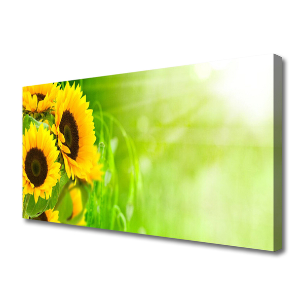 Quadro su tela Girasoli Pianta