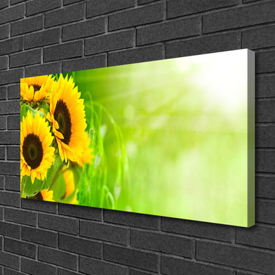 Quadro su tela Girasoli Pianta