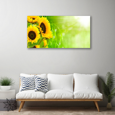 Quadro su tela Girasoli Pianta